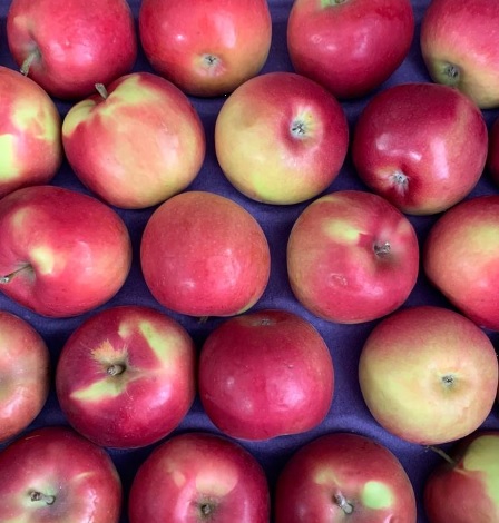 McIntosh Red apples arranged together